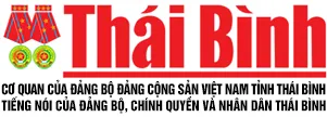 thai binh