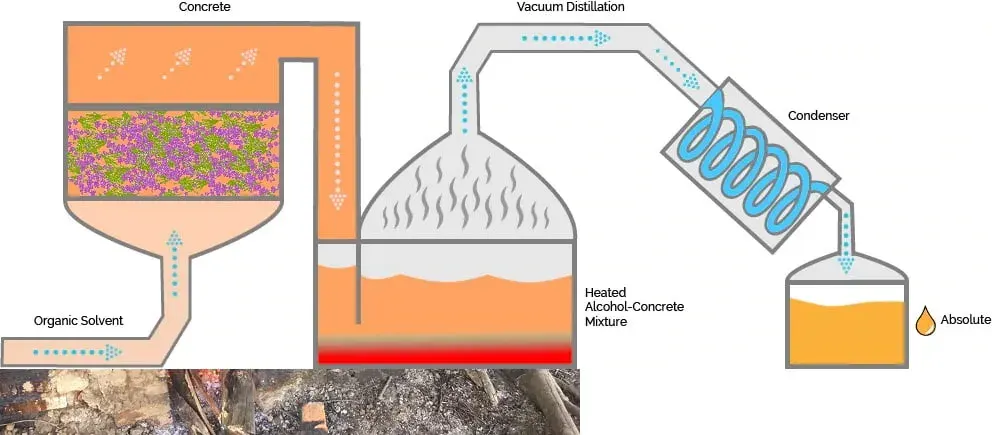 Phương pháp ngâm chiết dung môi (Solvent Extraction)