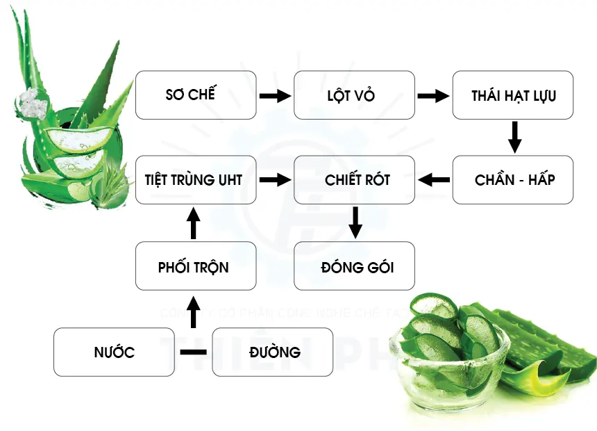 Quy trình sản xuất nước nha đam