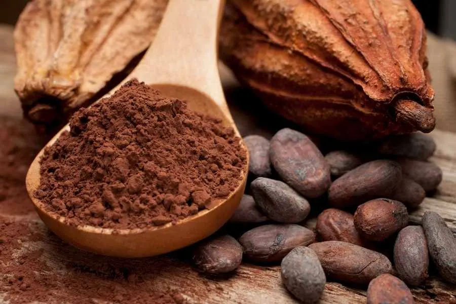 Bột cacao được sản xuất và chế biến từ quả cacao